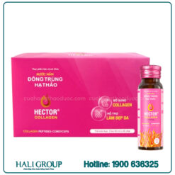 Nước Nấm Đông Trùng Hạ Thảo Hector Collagen [Hộp 10 Chai]