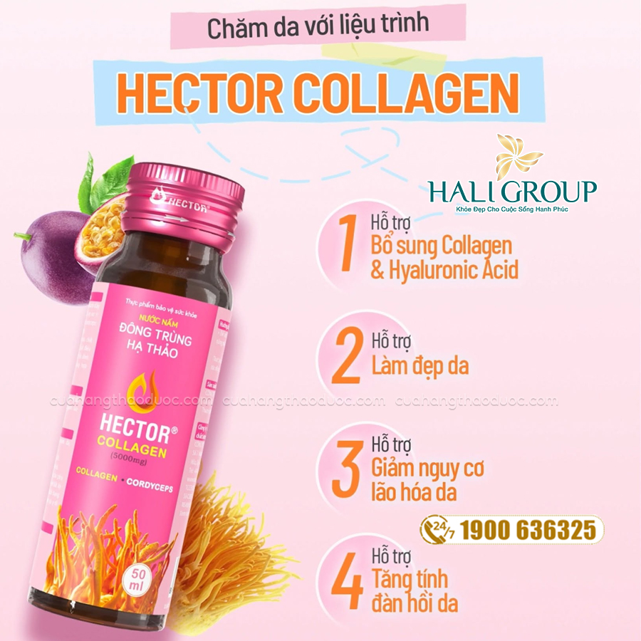 công dụng Nước Nấm Đông Trùng Hạ Thảo Hector Collagen [Hộp 10 Chai]
