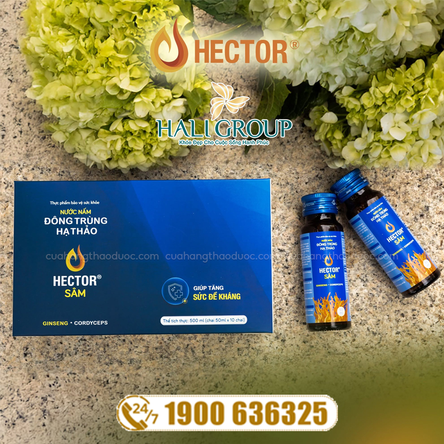 công dụng Nước Nấm Đông Trùng Hạ Thảo Hector Sâm [Hộp 10 Chai]