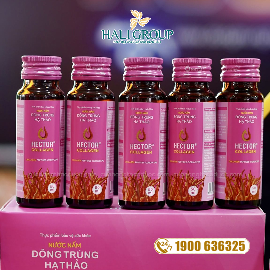 đối tượng sử dụng hector collagen