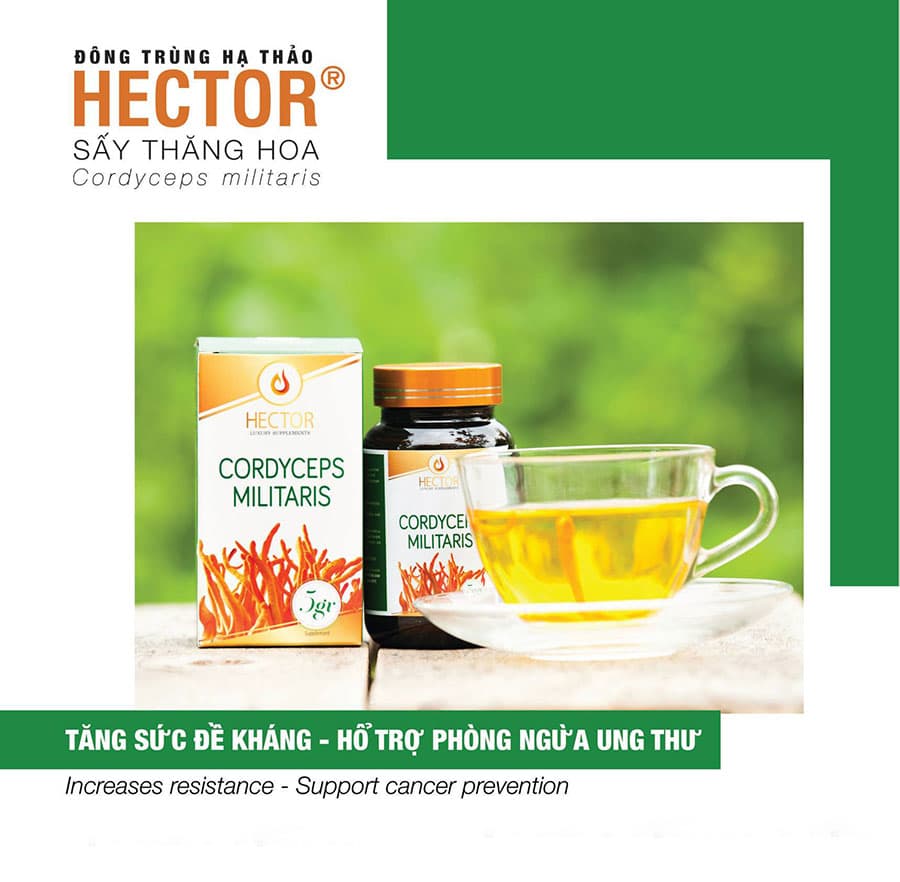dong-trung-ha-thao-kho-hector-say-thang-hoa-hop-5g-cuahangthaoduoc-1