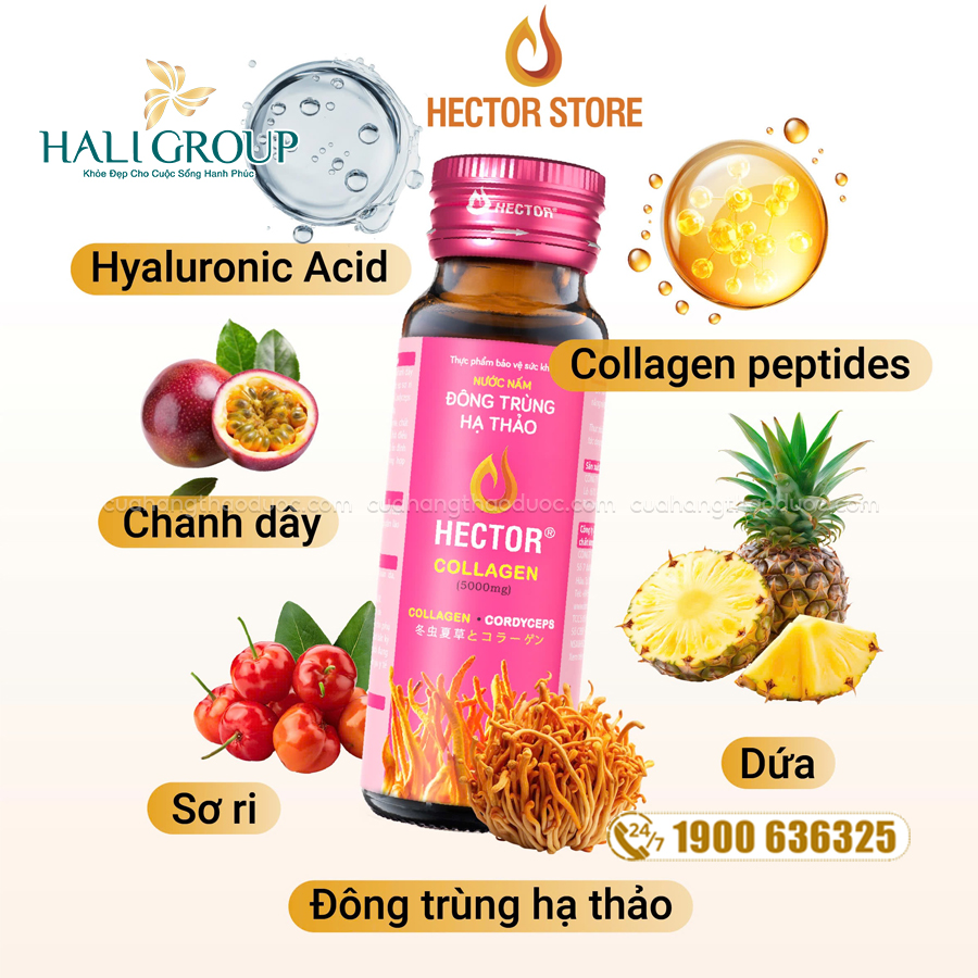 thành phần nước uống collagen hector