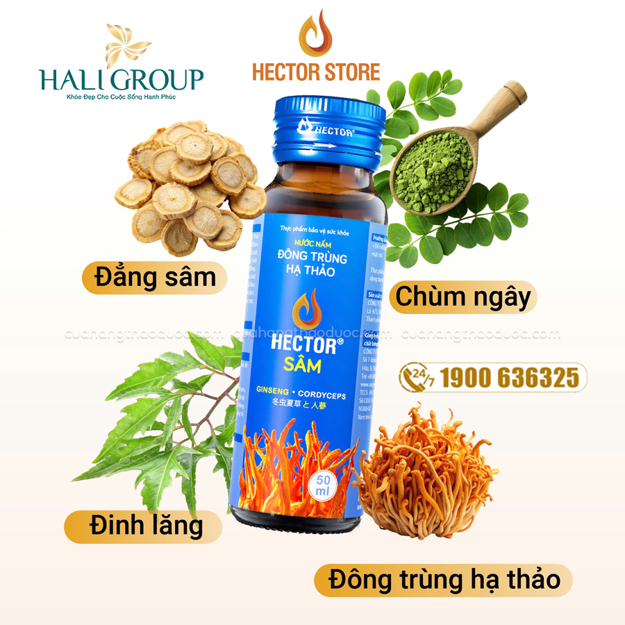 thành phần Nước Nấm Đông Trùng Hạ Thảo Hector Sâm 