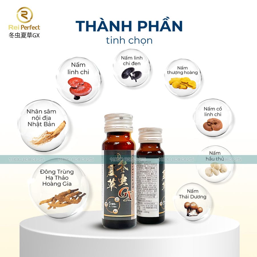 Thành phần Đông Trùng Hạ Thảo Tochukasou GX Drink Reiperfect