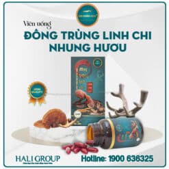 Viên Uống Đông Trùng Linh Chi Nhung Hươu Kim Cương Vàng