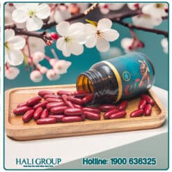 Viên Uống Đông Trùng Linh Chi Nhung Hươu Kim Cương Vàng