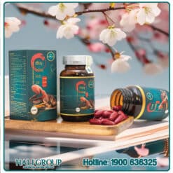 Viên Uống Đông Trùng Linh Chi Nhung Hươu Kim Cương Vàng