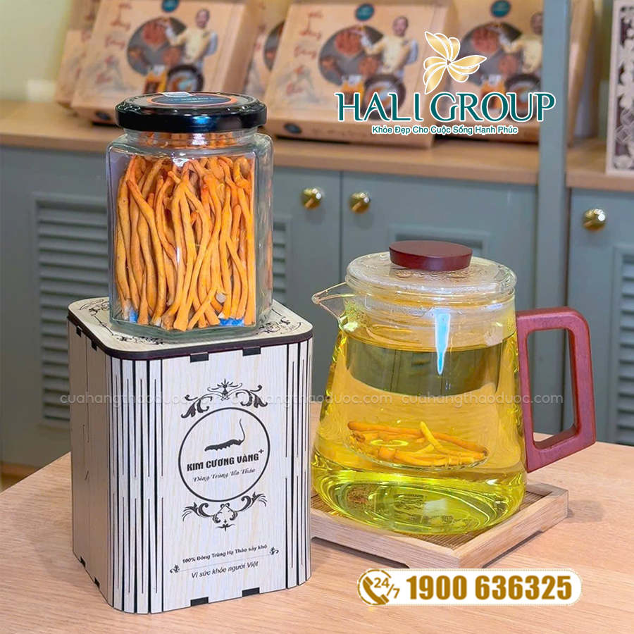 Đông Trùng Hạ Thảo Kim Cương Vàng Khô [Hộp 10g]