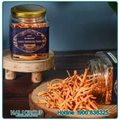 Đông Trùng Hạ Thảo Legend Kim Cương Vàng