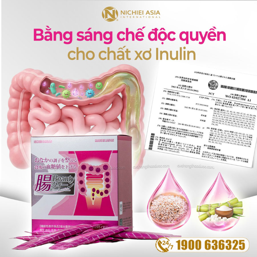 Intestines Beauty Queen Nichiei Bussan Nhật Bản
