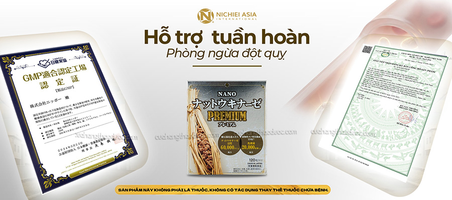 Viên Uống Nano Nattokinase Premium 60.000FU/g Nichiei Bussan Nhật Bản